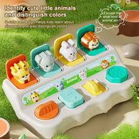 HKM-864275 Animal Popup Game for Kids - Engaging Educational Toy to Enhance Hand Coordination Skills