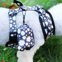 HKM-864467 Breathable Fashion Dog Harness and Leash Set with Adjustable Sizes