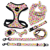 HKM-864467 Breathable Fashion Dog Harness and Leash Set with Adjustable Sizes