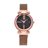 HKM-864787 Elegant Women's Magnet Watch with Stainless Steel Strap, Round Dial, Multiple Color Options