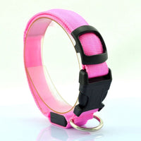 HKM-864979 Pet Supplies Dog Luminous Collar Luminous Collar Fluorescence