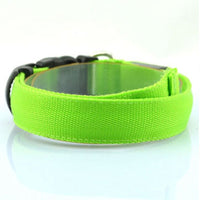 HKM-864979 Pet Supplies Dog Luminous Collar Luminous Collar Fluorescence