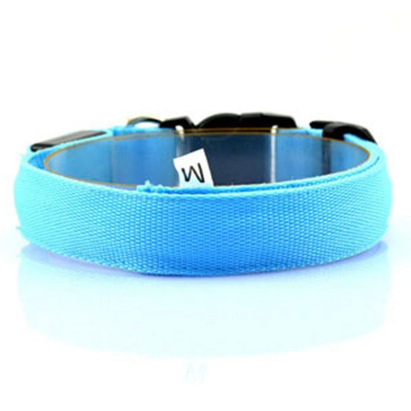 HKM-864979 Pet Supplies Dog Luminous Collar Luminous Collar Fluorescence