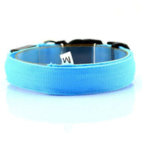 HKM-864979 Pet Supplies Dog Luminous Collar Luminous Collar Fluorescence