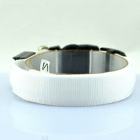 HKM-864979 Pet Supplies Dog Luminous Collar Luminous Collar Fluorescence
