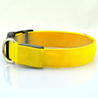HKM-864979 Pet Supplies Dog Luminous Collar Luminous Collar Fluorescence