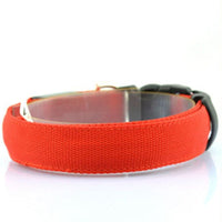 HKM-864979 Pet Supplies Dog Luminous Collar Luminous Collar Fluorescence