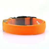 HKM-864979 Pet Supplies Dog Luminous Collar Luminous Collar Fluorescence