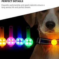 HKM-865619 Luminous Dog Pendant Light for Night Walking - Easy-to-Carry Safety Accessory