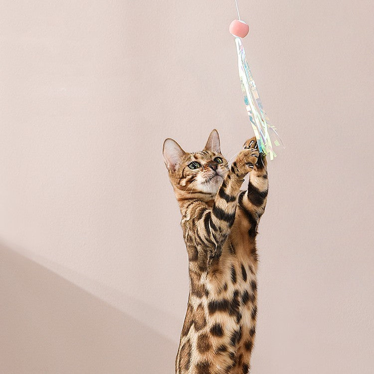 HKM-868371 Gravitational Spring Cat Teaser Stick with Feather Replacement and Gravity Bark Ball