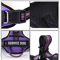 HKM-869075 Personalized Oxford Cloth Chest Strap for Dogs - Available in Blue, Black, Green