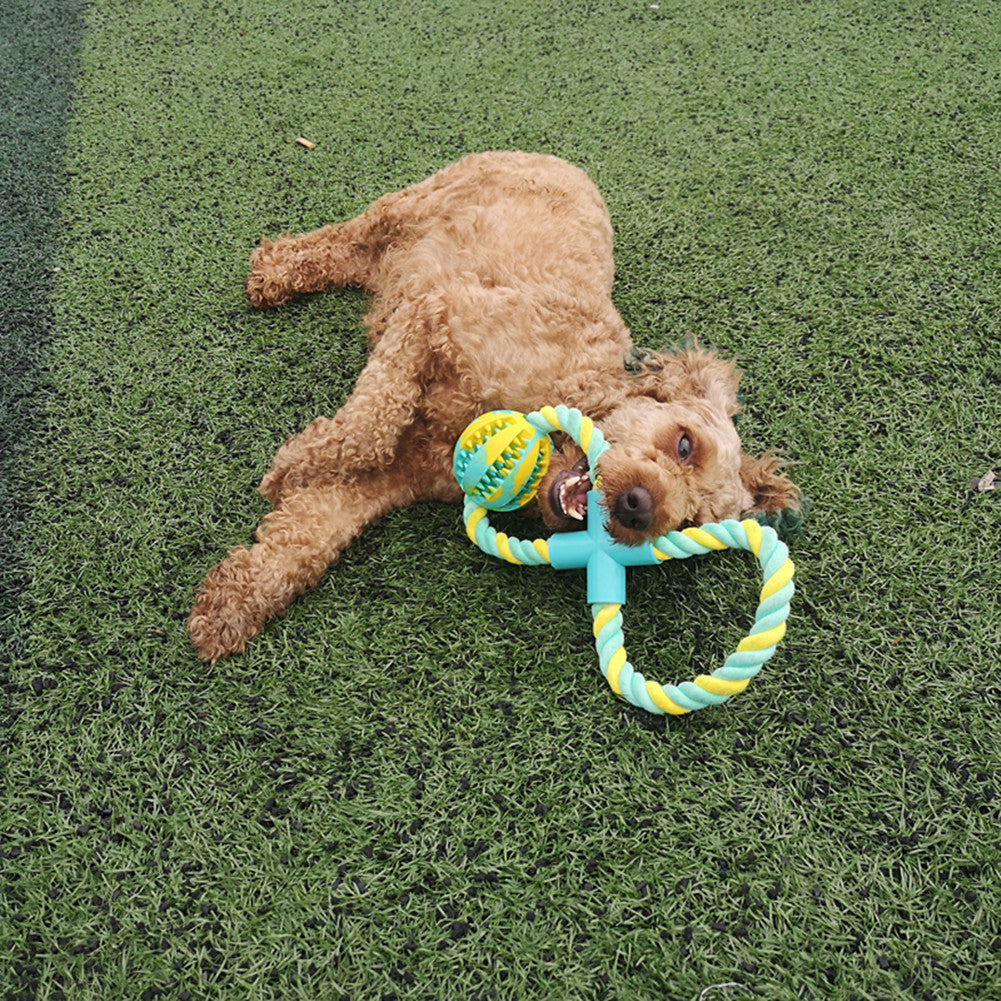 HKM-869331 Stuffed with snacks leaking food bite-resistant rubber dog toy
