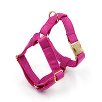 HKM-869587 Fashionable Pet Collar Set with Bow, Lead Rope, Poop Bag, and Flower Accessory