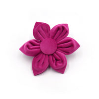 HKM-869587 Fashionable Pet Collar Set with Bow, Lead Rope, Poop Bag, and Flower Accessory