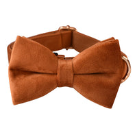 HKM-870739 Velvet Dog Collar Set with Dog Rope and Bow Tie, Gold Clasp, Multiple Sizes Available
