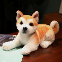 HKM-871955 Akita Plush Toy in Various Postures – Soft, Cuddly Dog Doll