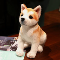 HKM-871955 Akita Plush Toy in Various Postures – Soft, Cuddly Dog Doll