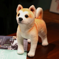 HKM-871955 Akita Plush Toy in Various Postures – Soft, Cuddly Dog Doll