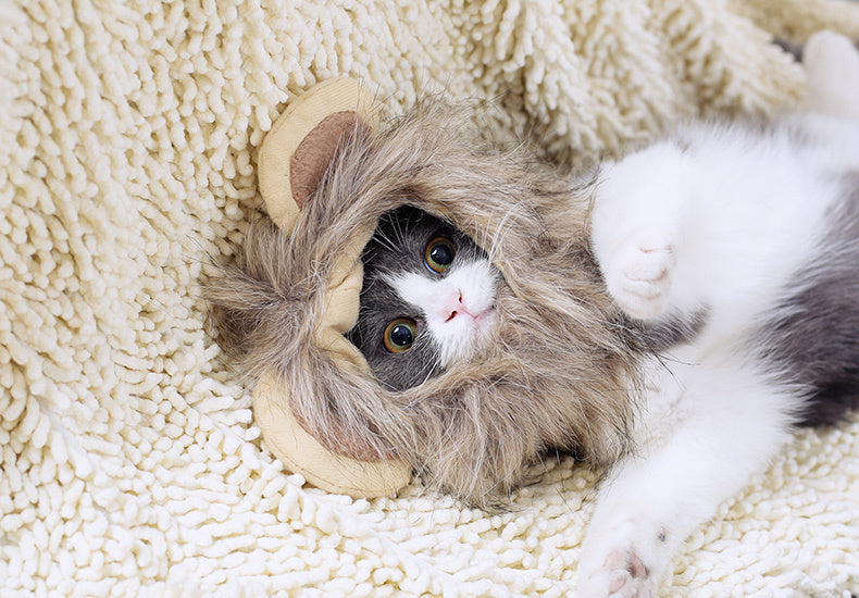 HKM-872851 Lion Headgear Cat Hat - Cute Pullover Decoration for Pets, Size S-38cm
