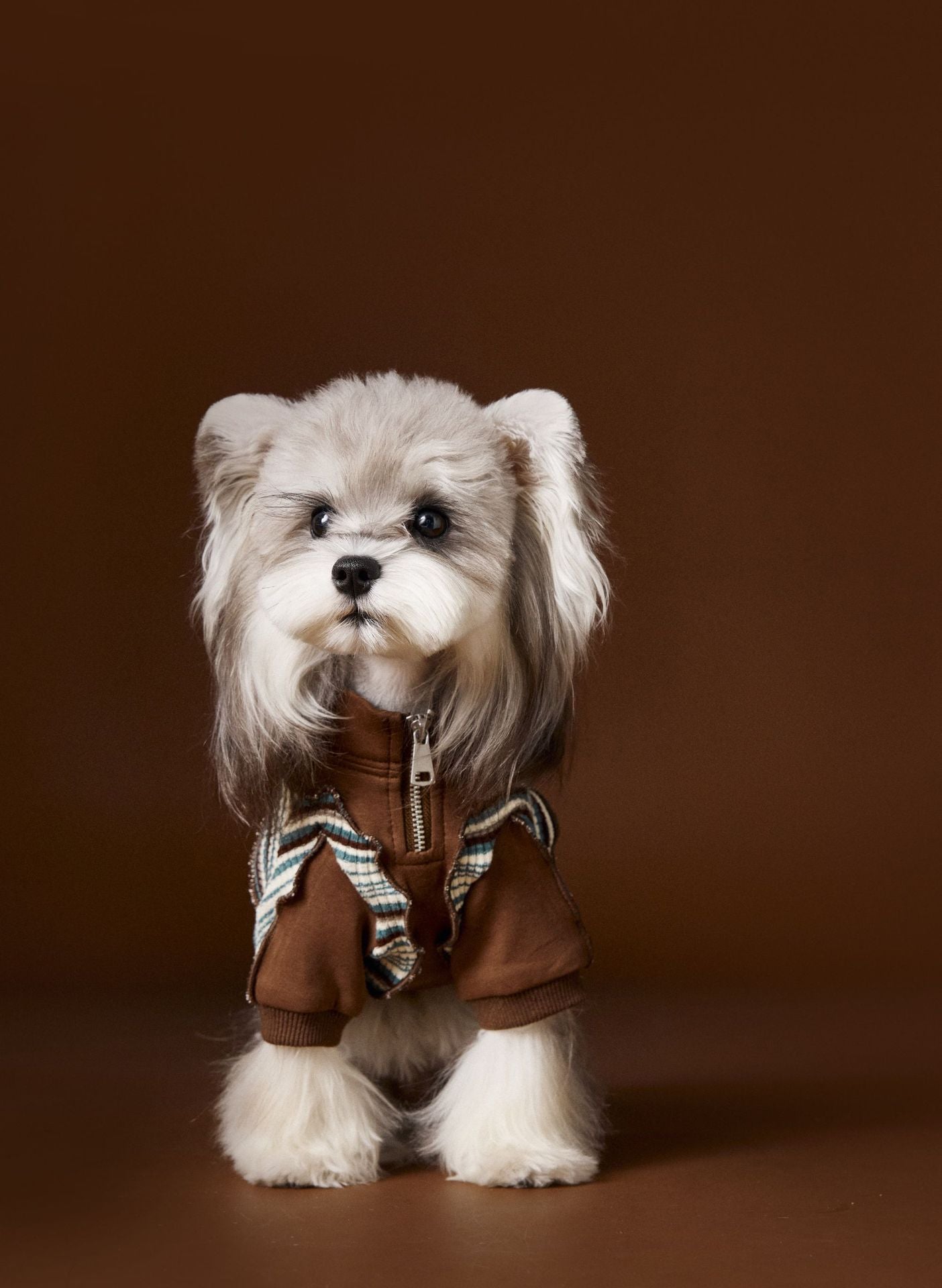 HKM-873811 Striped Zipper Sweater for Pets in Blue and Brown - XS to XXL Sizes Available