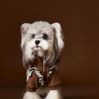 HKM-873811 Striped Zipper Sweater for Pets in Blue and Brown - XS to XXL Sizes Available