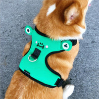 HKM-876819 Cozy Polyester Dog Harness with Traction Rope for Small Breeds - Stylish Vest Design