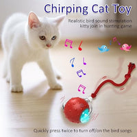 HKM-877075 Interactive Motion-Activated Cat Toy with Chirping Sounds for Exciting Playtime on Carpet