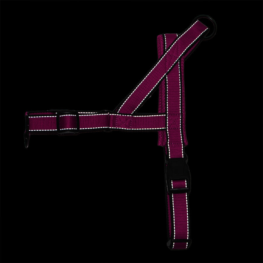 HKM-877139 Adjustable Nylon Dog Chest Harness with Traction Rope - Scalable in Blue, Black, Pink, and Rose Red