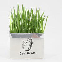 HKM-877715 Organic Soilless Cat Grass for Clean Oral Health - Ryegrass, Wheat, Barley Blend