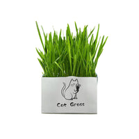 HKM-877715 Organic Soilless Cat Grass for Clean Oral Health - Ryegrass, Wheat, Barley Blend