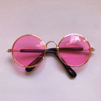 HKM-877779 Stylish Medium Dog Sunglasses for Small Dogs and Cats, Lightweight CCB Plastic, Perfect for Pet Photos