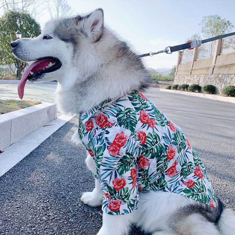 HKM-879699 Tropical Rain Forest Casual Printed Pet Shirt for Everyday Wear