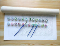 HKM-880083 Framed Picture DIY Acrylic Painting Kit - 40x50cm Eco-Friendly Non-Toxic Paint