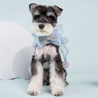 HKM-880275 Breathable Nylon Cat Chest Harness in Fairy Blue, Gray, and Pink