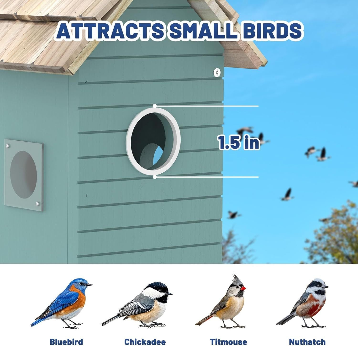 HKM-881171 Smart Bird Feeder Camera with AI Bird Species Identification, 3MP HD Photos, 2.4G Wi-Fi Connectivity, Blue