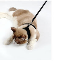 HKM-881427 Anti-Skid Mesh Cat Harness with Leash - Adjustable Neck and Chest Fit