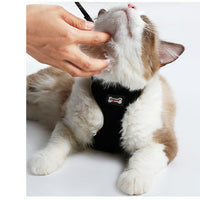 HKM-881427 Anti-Skid Mesh Cat Harness with Leash - Adjustable Neck and Chest Fit