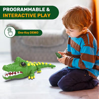 HKM-886483 Rechargeable Remote Control Crocodile Toy Car - 2.4GHz, 30M Range, 4 Channel Fun