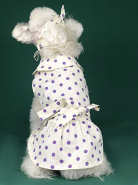 HKM-887571 Lightweight Summer Dress for Small Dogs and Cats – Cute Princess Style for Teddy, Schnauzer, Corgi, and More