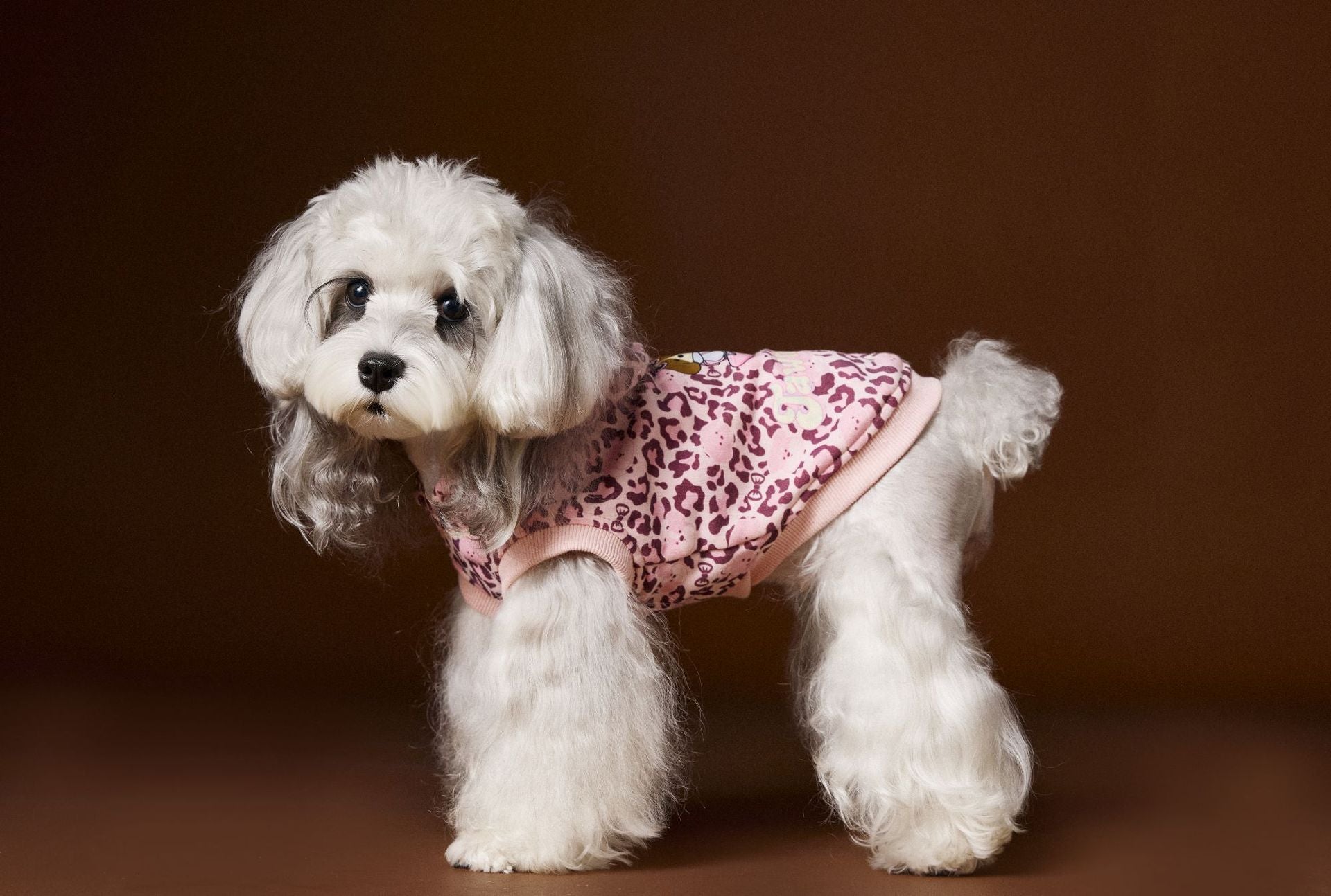 HKM-888147 Leopard Print Hooded Sleeveless Sweater for Pets in Coffee and Pink, Available in Multiple Sizes