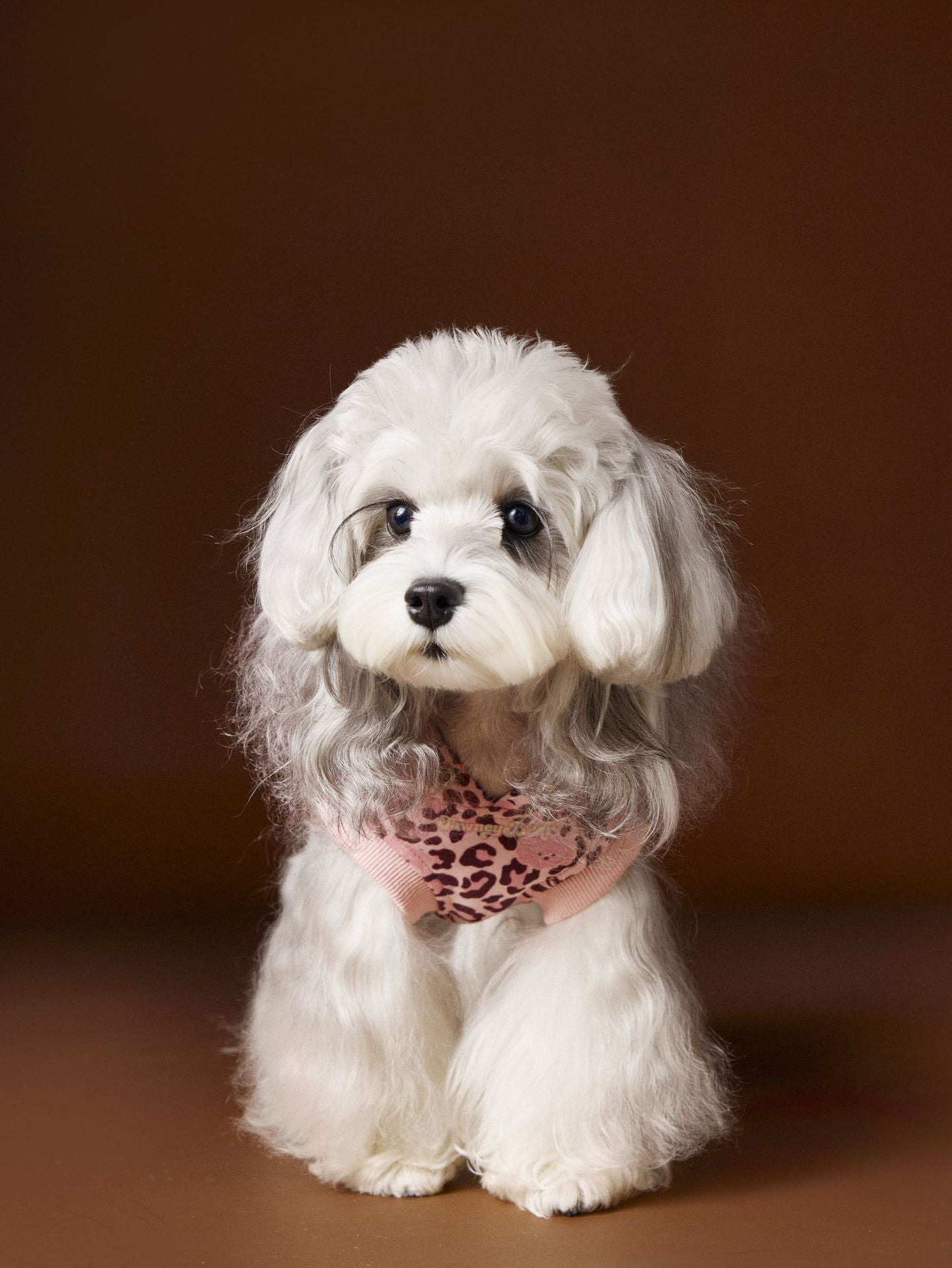 HKM-888147 Leopard Print Hooded Sleeveless Sweater for Pets in Coffee and Pink, Available in Multiple Sizes