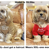 HKM-889555 Pet Round Neck T-Shirt in Red, Blue, Black, and Khaki for Dogs and Cats - Sizes S to XXL