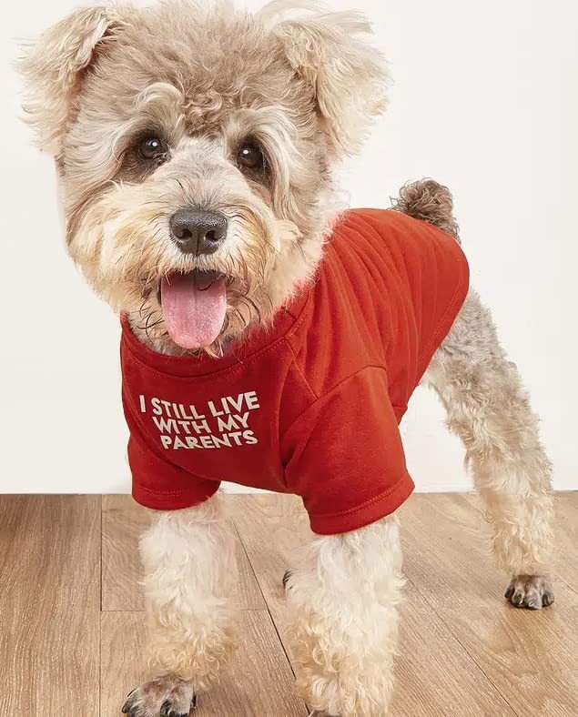 HKM-889555 Pet Round Neck T-Shirt in Red, Blue, Black, and Khaki for Dogs and Cats - Sizes S to XXL