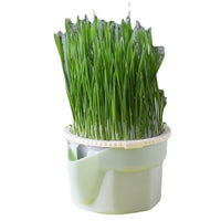 HKM-889747 Cat Grass Cup Soilless Hydroponic Seed Spit Hair Ball Snacks
