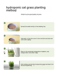 HKM-889747 Cat Grass Cup Soilless Hydroponic Seed Spit Hair Ball Snacks