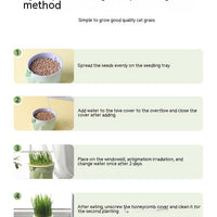 HKM-889747 Cat Grass Cup Soilless Hydroponic Seed Spit Hair Ball Snacks