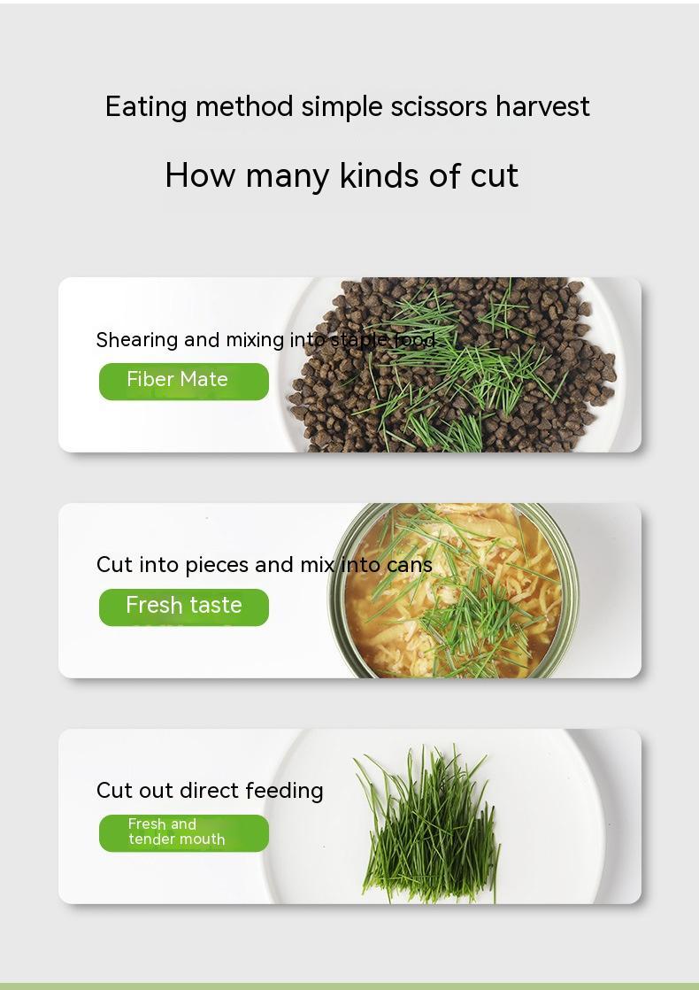 HKM-889747 Cat Grass Cup Soilless Hydroponic Seed Spit Hair Ball Snacks