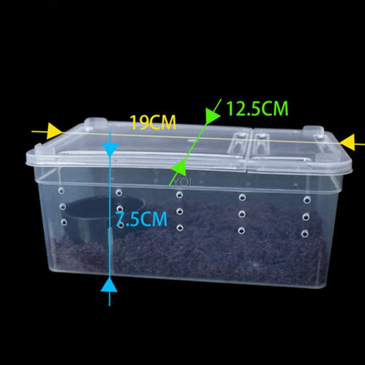 HKM-890963 Transparent Plastic Reptile Feeding Box for Transportation and Breeding