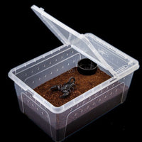 HKM-890963 Transparent Plastic Reptile Feeding Box for Transportation and Breeding