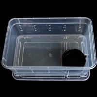 HKM-890963 Transparent Plastic Reptile Feeding Box for Transportation and Breeding